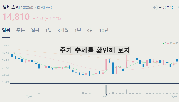 오픈AI 관련주 대장주 TOP10