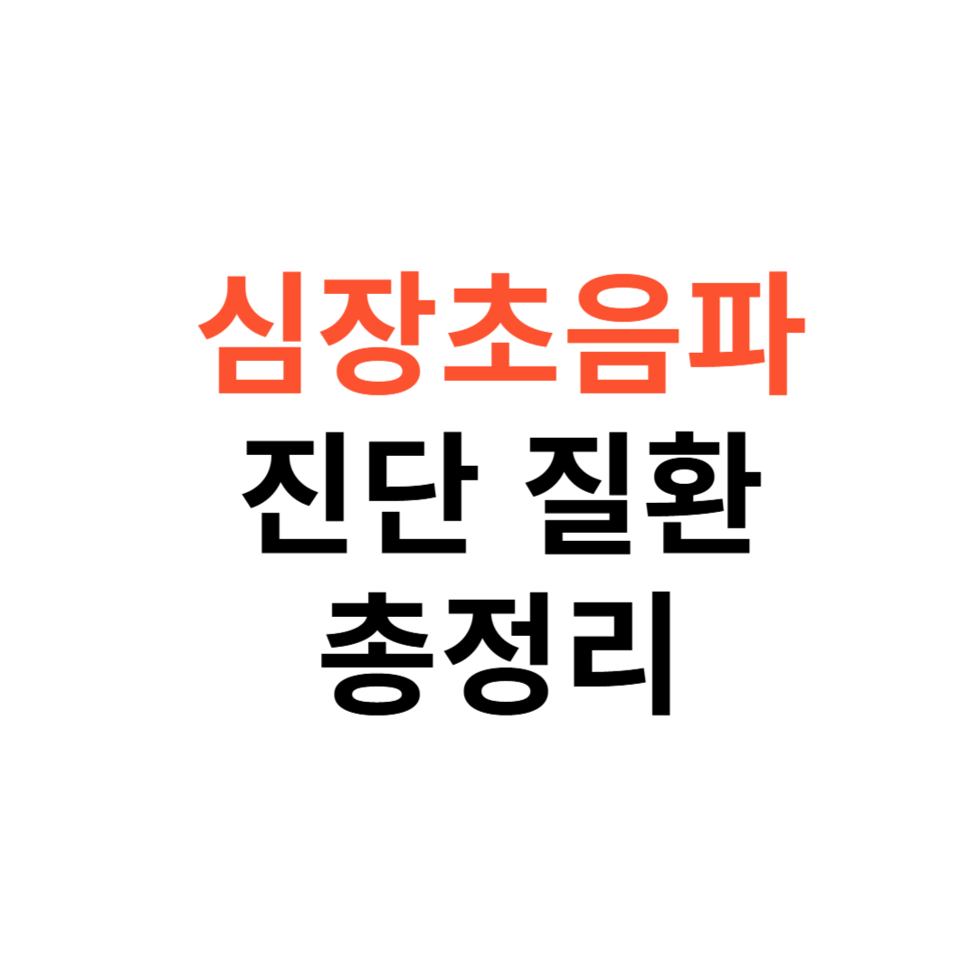 심장초음파로 진단할 수 있는 질환
