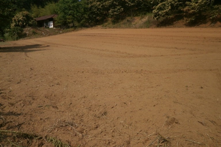 서리태 심기전 밭 준비