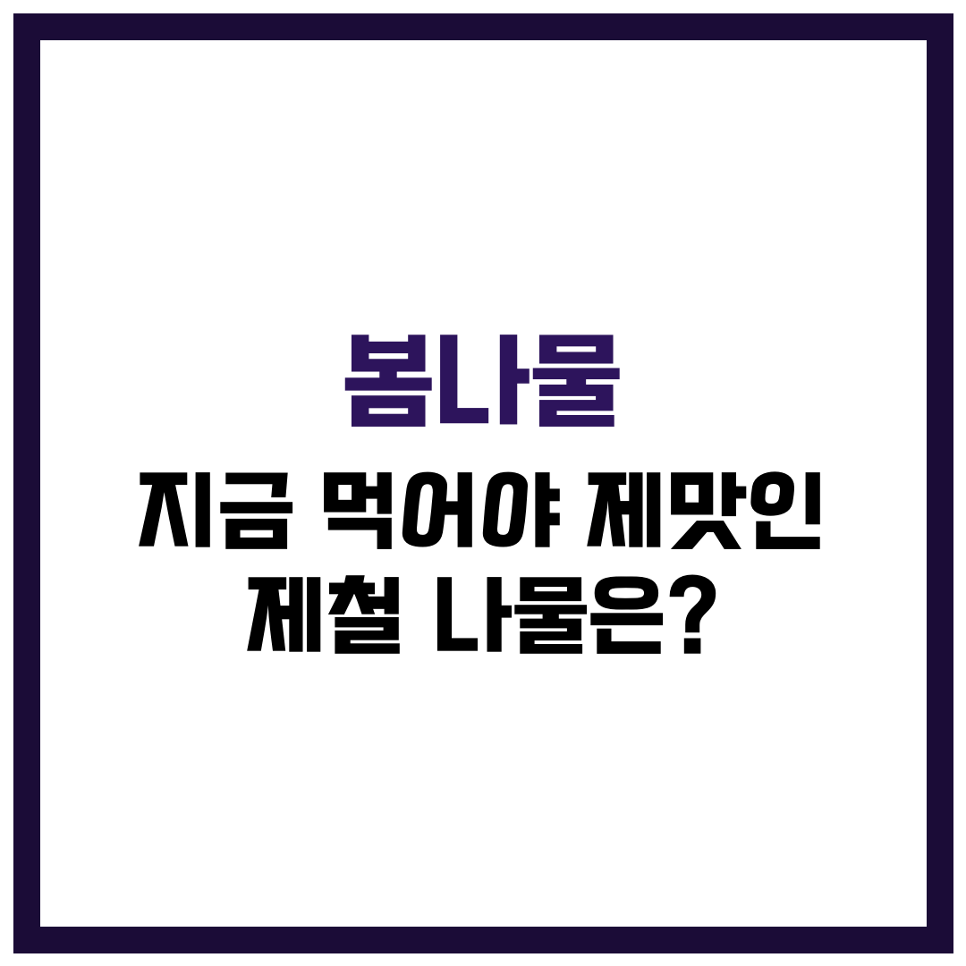 지금 먹어야 제맛인 제철 봄나물의 종류 / 봄나물 고르는 팁과 보관법