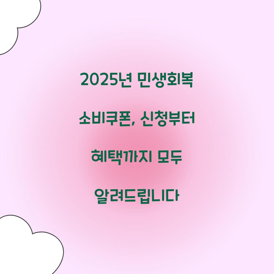 2025년 민생회복 소비쿠폰