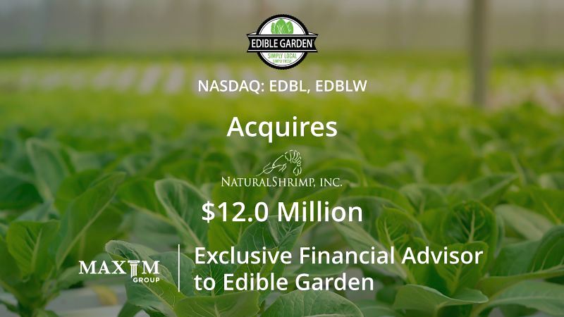 ์๋๋ธ ๊ฐ๋ ์ฃผ๊ฐ ์ ๋ง 2025: ์คํฌ์ธ ์์ ์์ฅ ์ง์ถ๊ณผ ์๋ง์กด ์ฑ์ฅ ๊ธฐํ