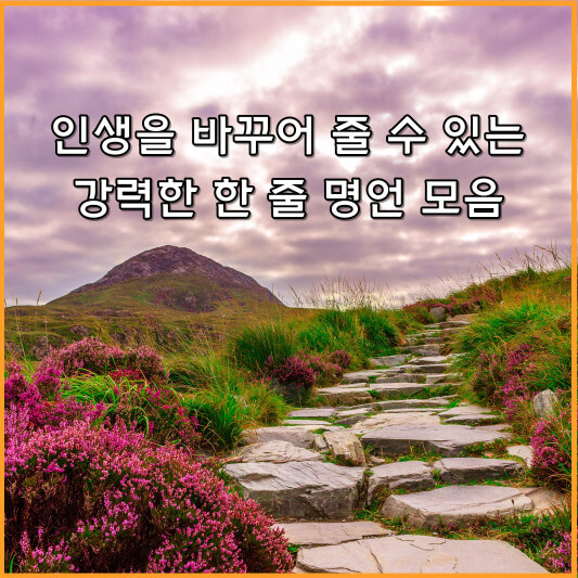 인생 한 줄 명언
