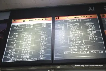 동해 시외버스터미널 시간표 예매 요금표_20