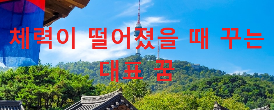 꿈과건강