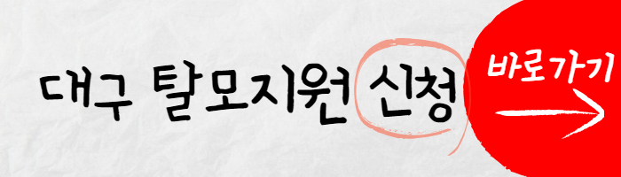 대구 탈모지원금 신청