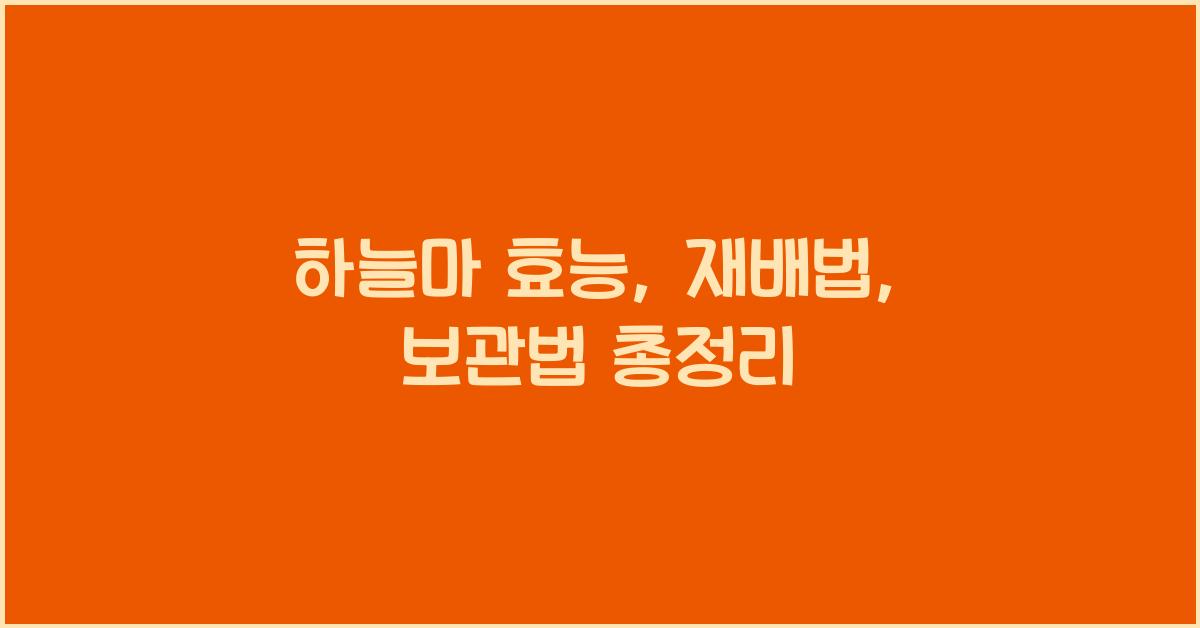 하늘 마