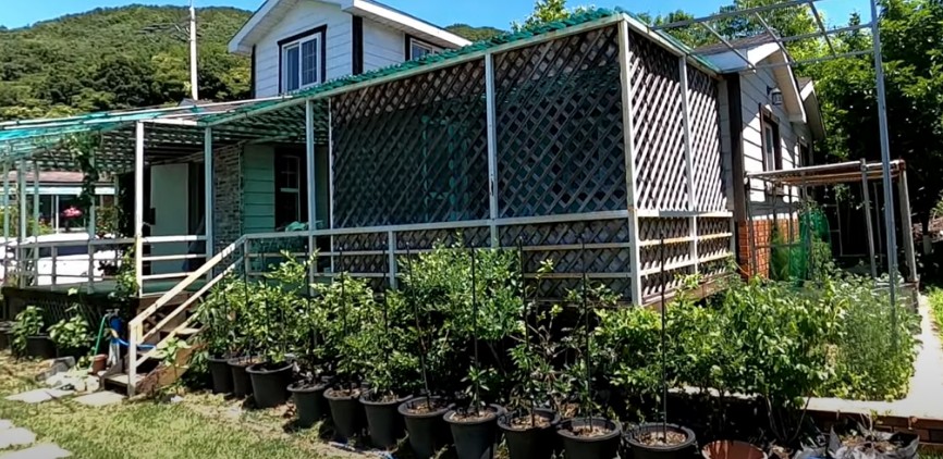 경기도 양평군 2억대 전원주택 매매 급매물 - 용문면 마룡리, 단월면 봉상리