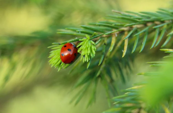 이재명 대선공약 쉽게 정리 19