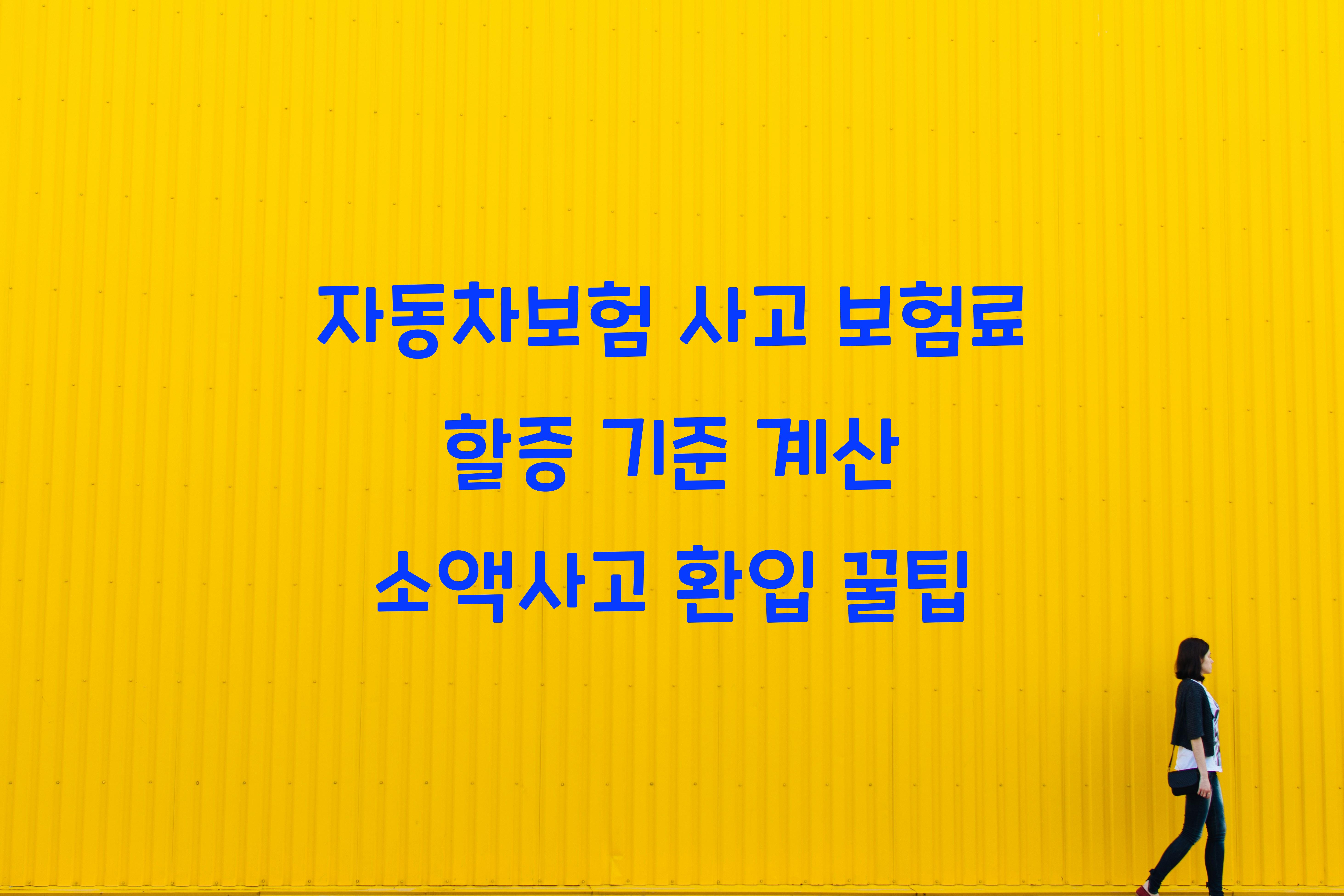 자동차보험 사고 보험료 할증