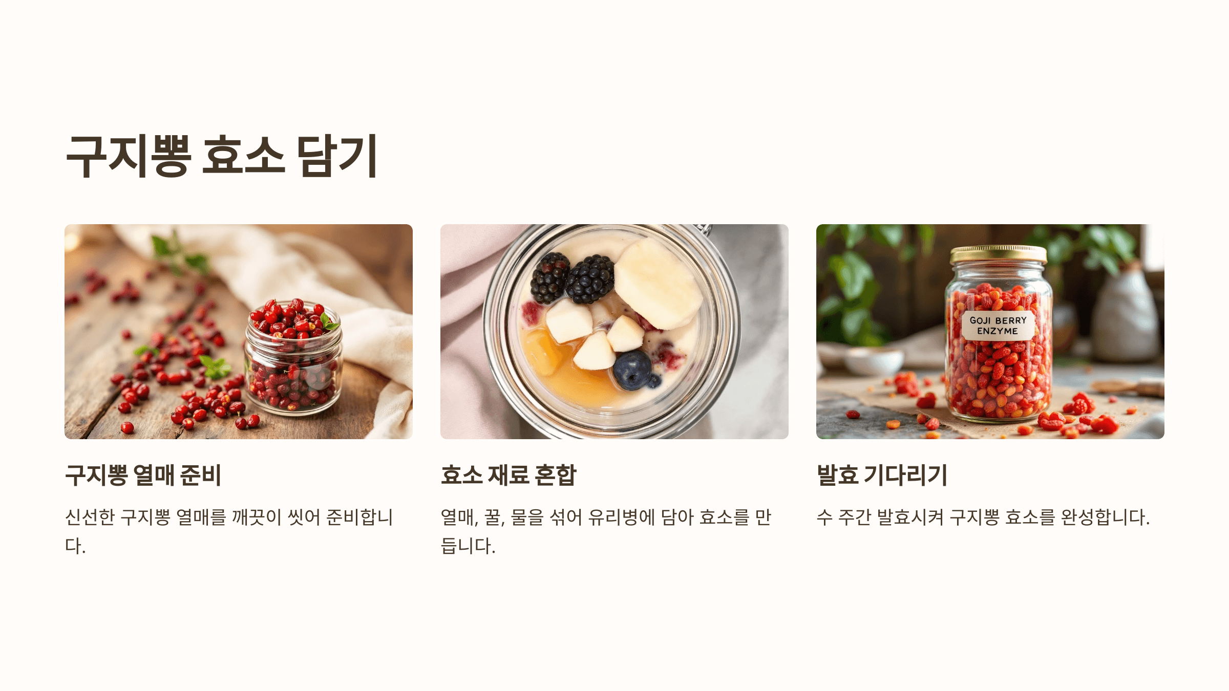 구지뽕 사진입니다.