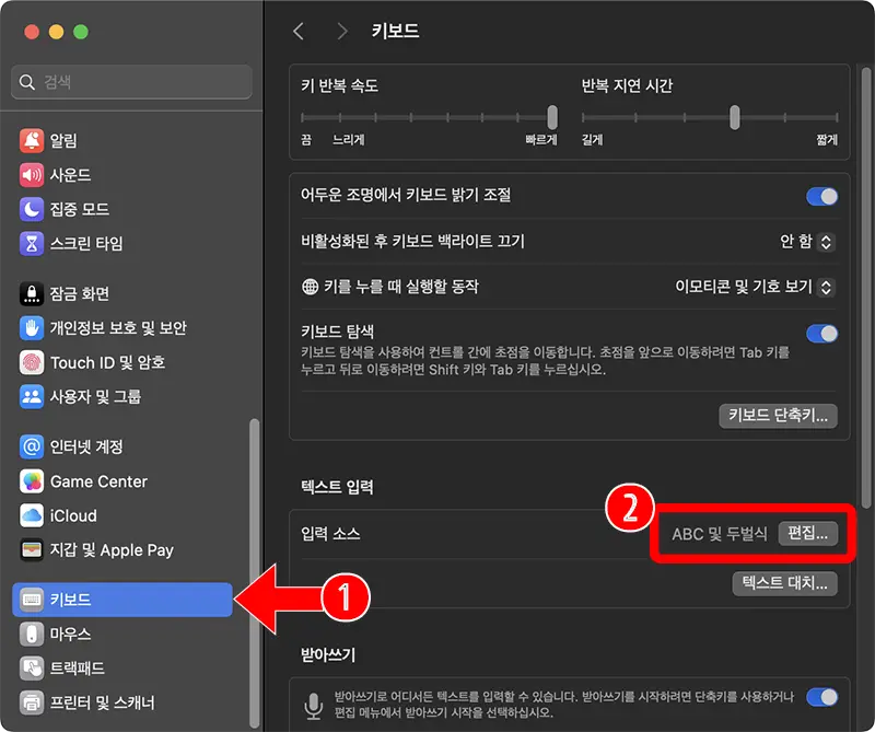 변환된 한자가 표시되는 방식 설정