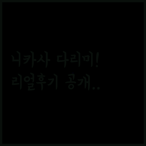 홈쇼핑 화제템 니카사 핸디형 스팀다리..