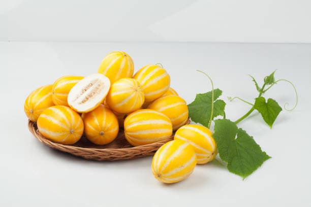 “초복에 이건 무조건 먹어야 해! 여름철 보양식 BEST 메뉴 정리🍲”