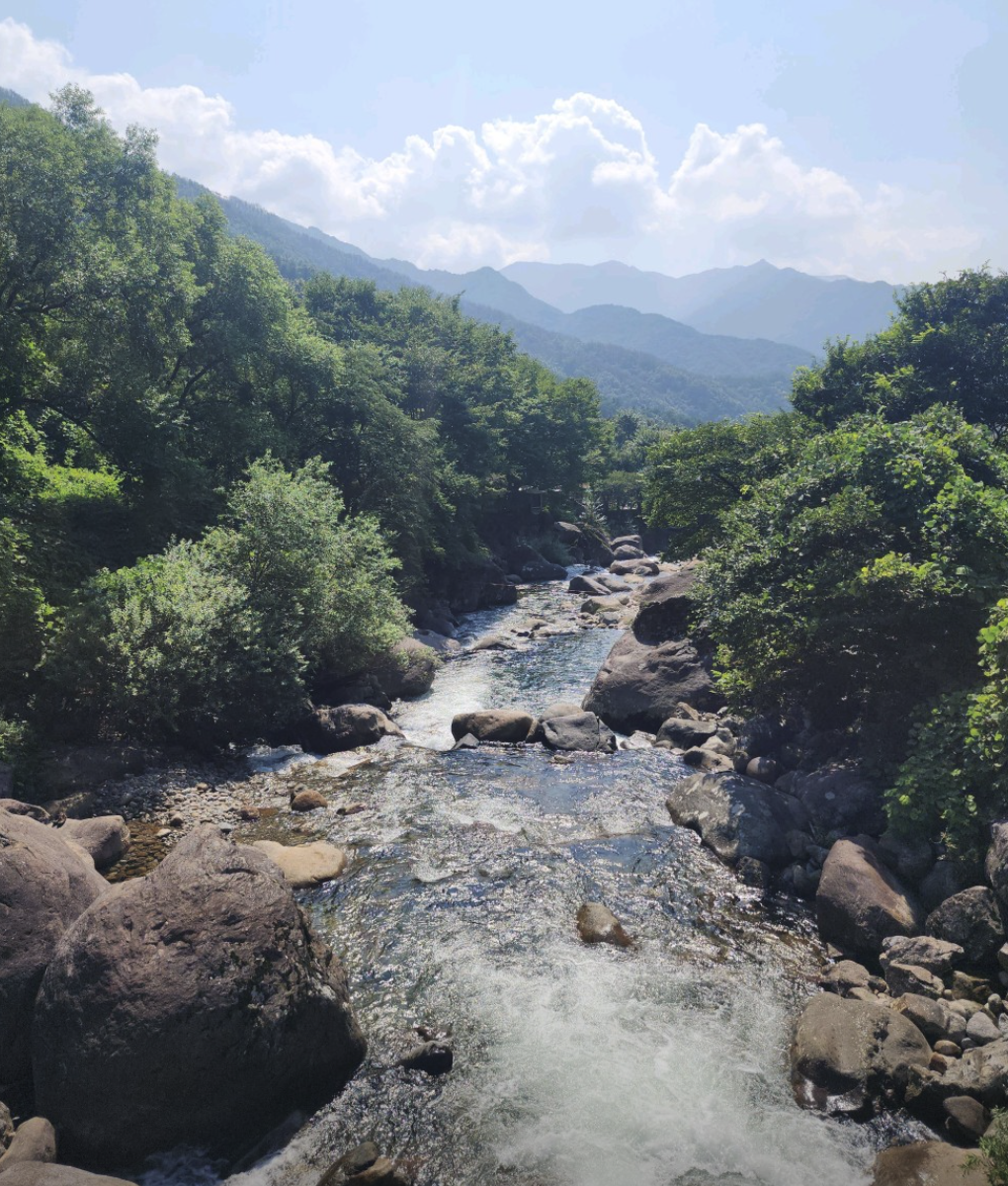 6시 내고향 하동 의신베어빌리지 반달가슴곰 체험 위치 예약 정보
