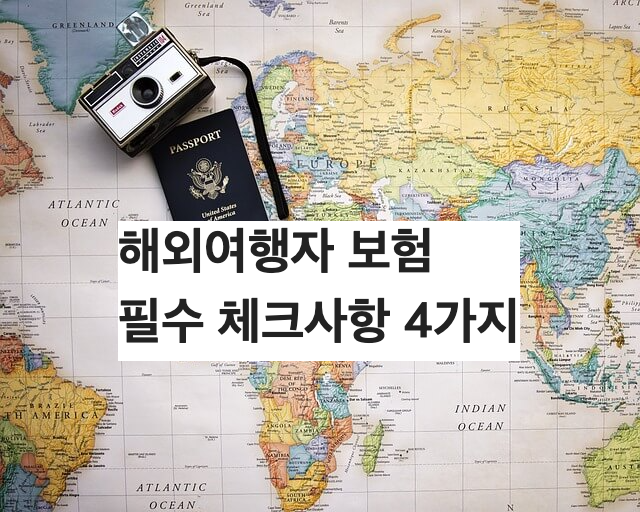 해외여행자보험