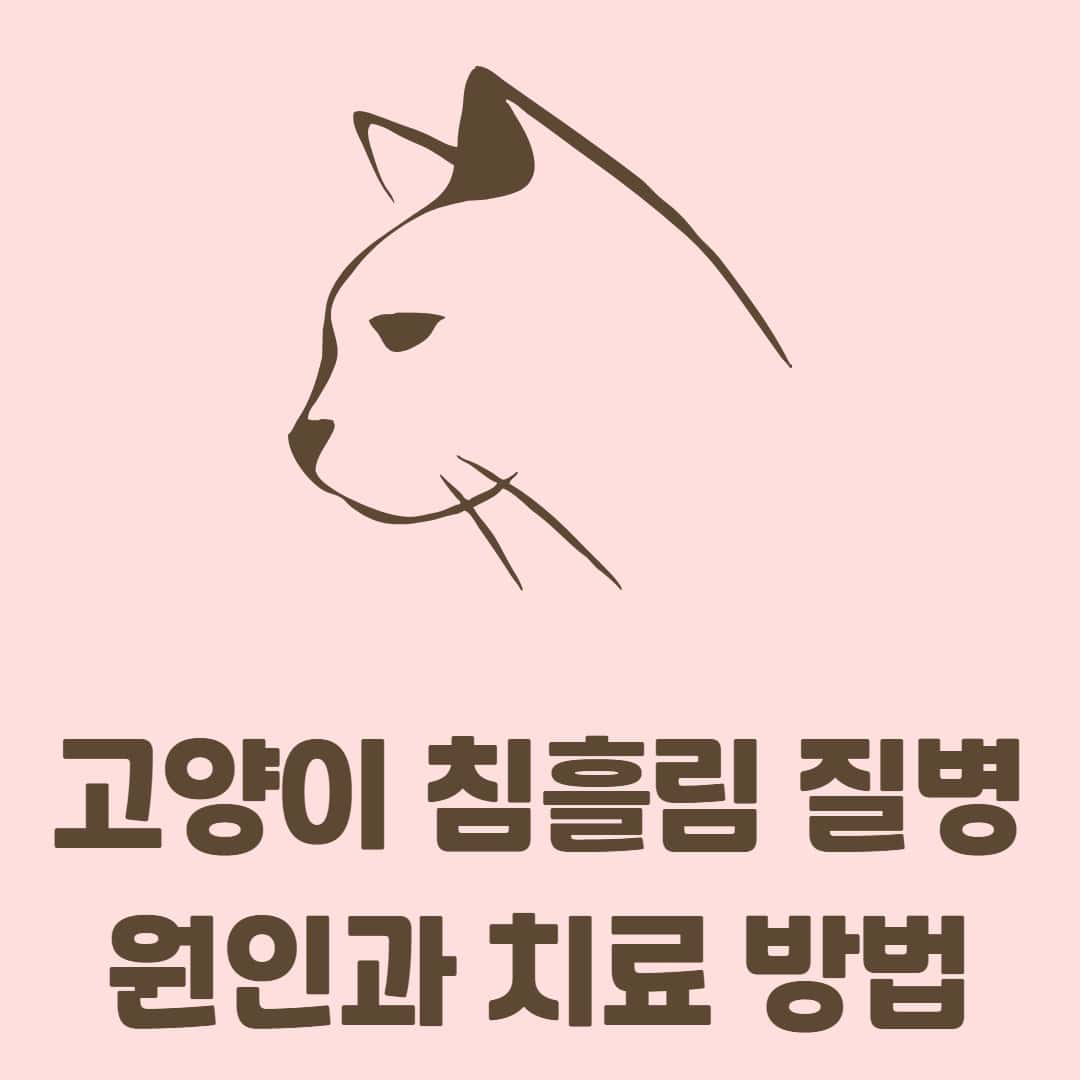 고양이 침흘림 질병의 원인과 치료 방법, 예방법에 대해 알아보자
