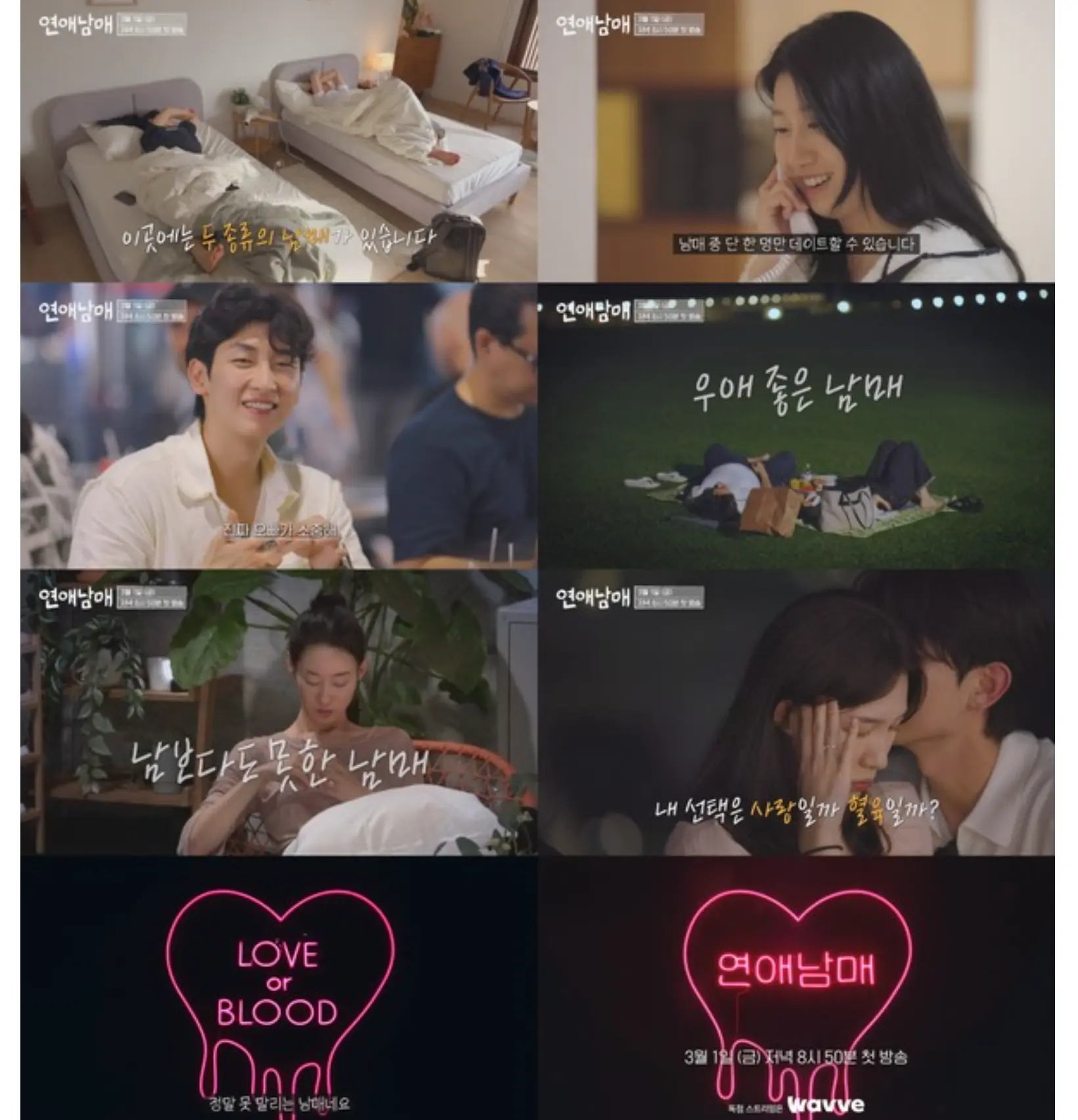 연애남매 방송화면