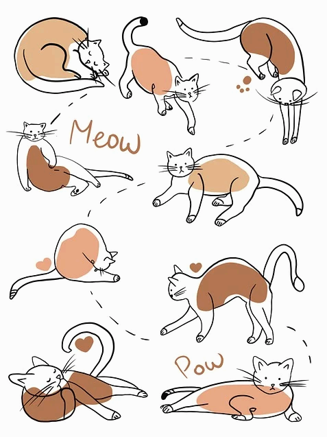 고양이의 행동 언어 해석하기: 꼬리, 귀, 몸짓의 의미