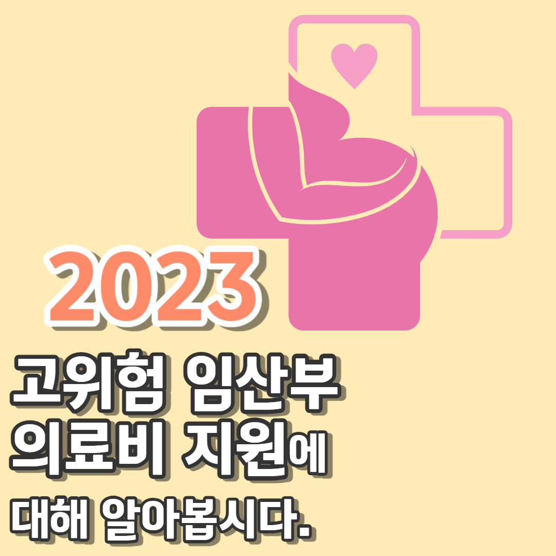 2023 고위험 임산부 의료비 지원