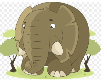 우리 삶의 거대한 기억