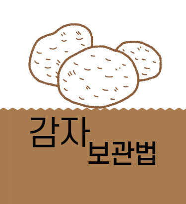 감자보관법