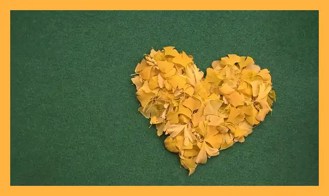 문광저수지 은행나무길