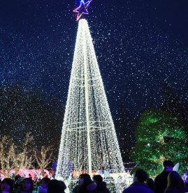 청도프로방스 눈내리는 산타마을(이미지출처:청도프로방스 홈페이지)