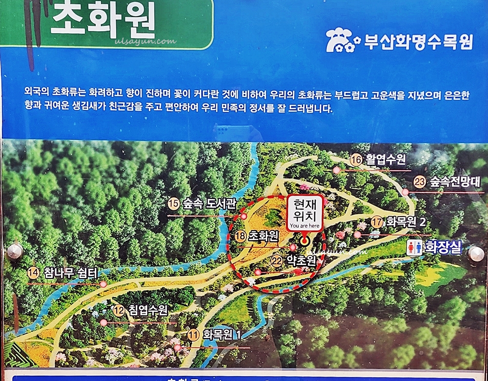 초화원