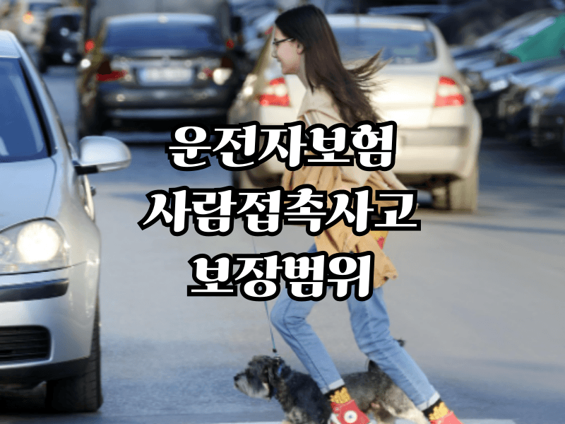 Driver Insurance Coverage for Crosswalk Pedestrian Accidents Explained