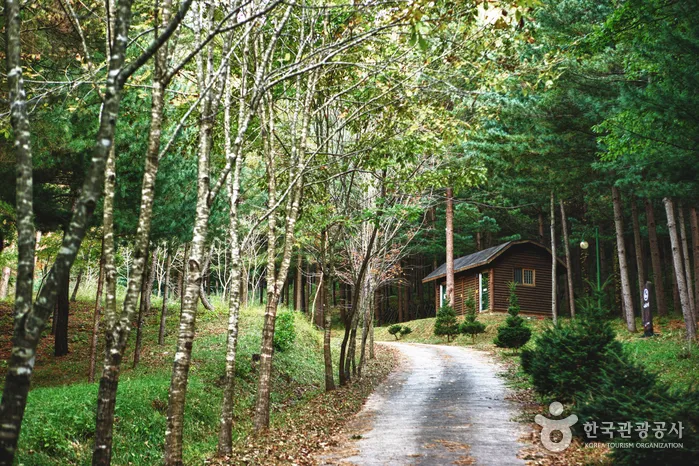 자연휴양림 예약정보시스템 바로가기 완벽 이용 가이드_8