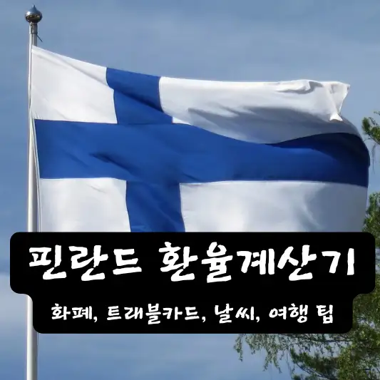 핀란드 환율 계산기 화폐 종류