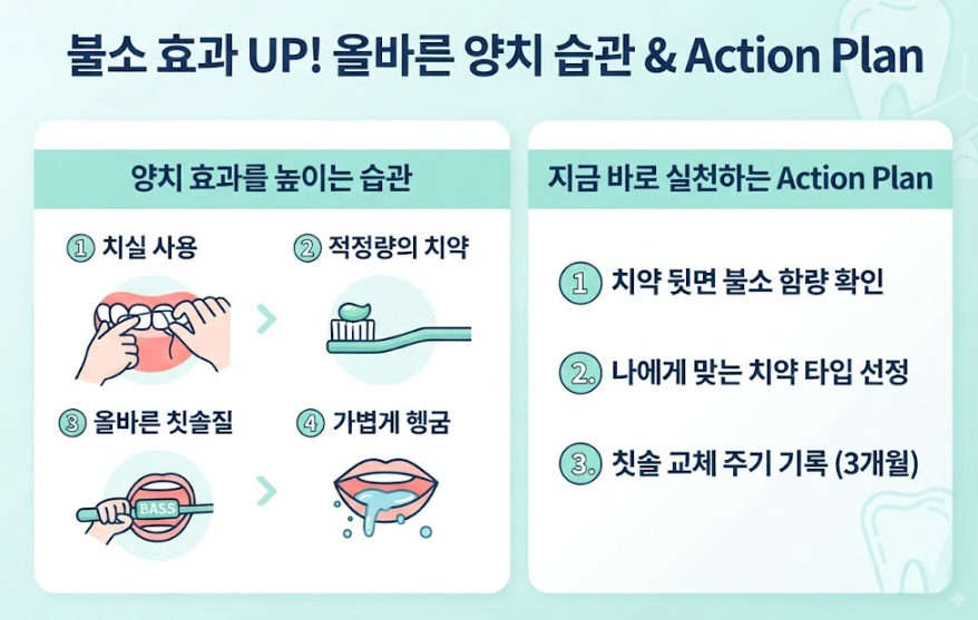 불소 함량별 차이점