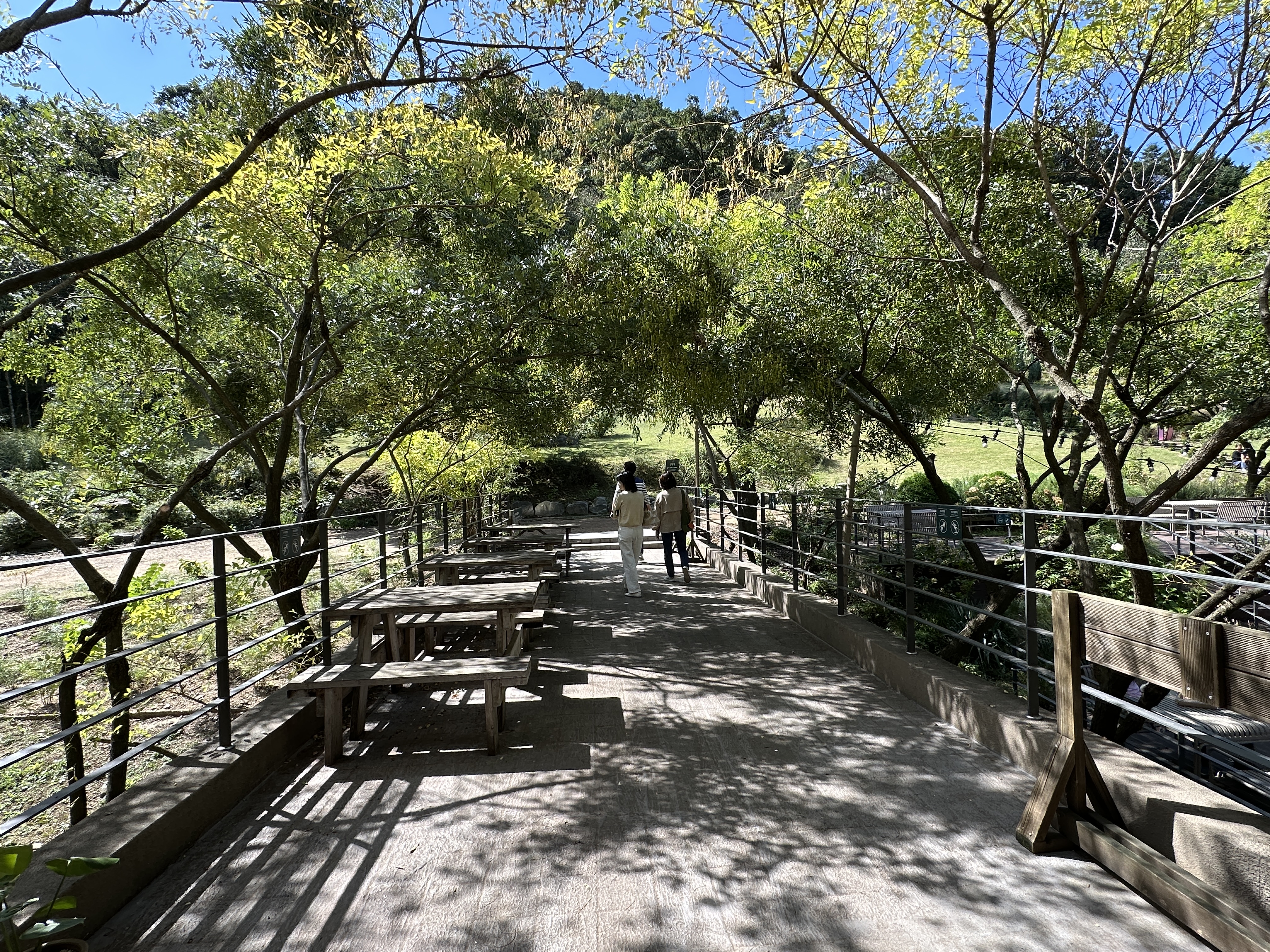 유니스의 정원 야외 풍경