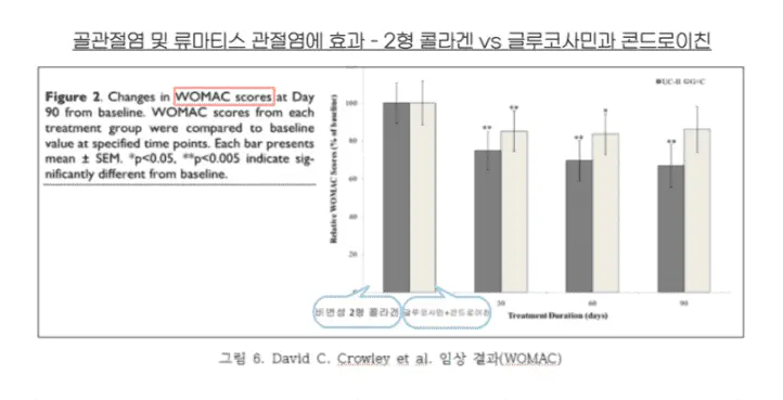 무릎관절영양제