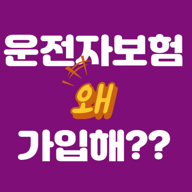 운전자보험
