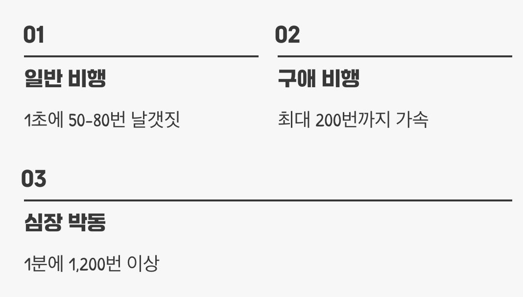 눈에 보이지 않는 속도, 초고속 날갯짓