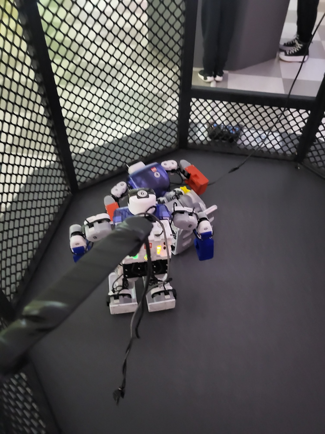 제주도 아이와 가볼만한곳, 로보플래닛