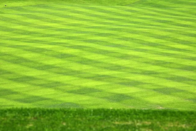 배수펌프장이란 필요성 작동원리 위치_8