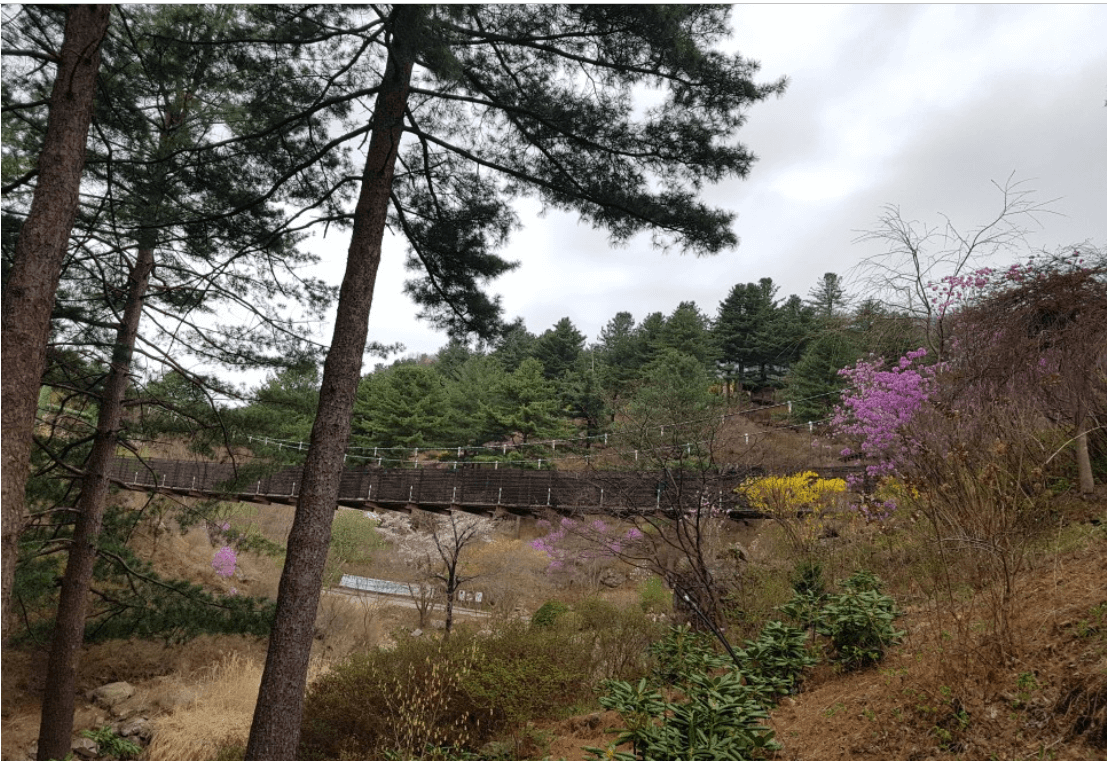 아침고요수목원