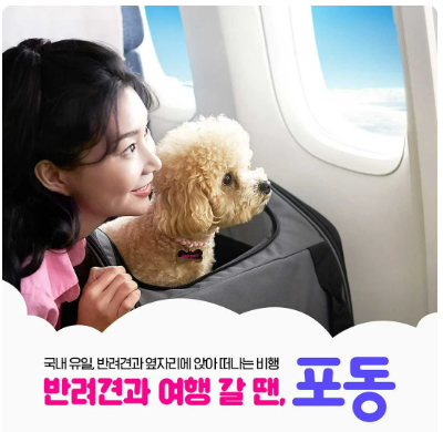 반려견 전용기