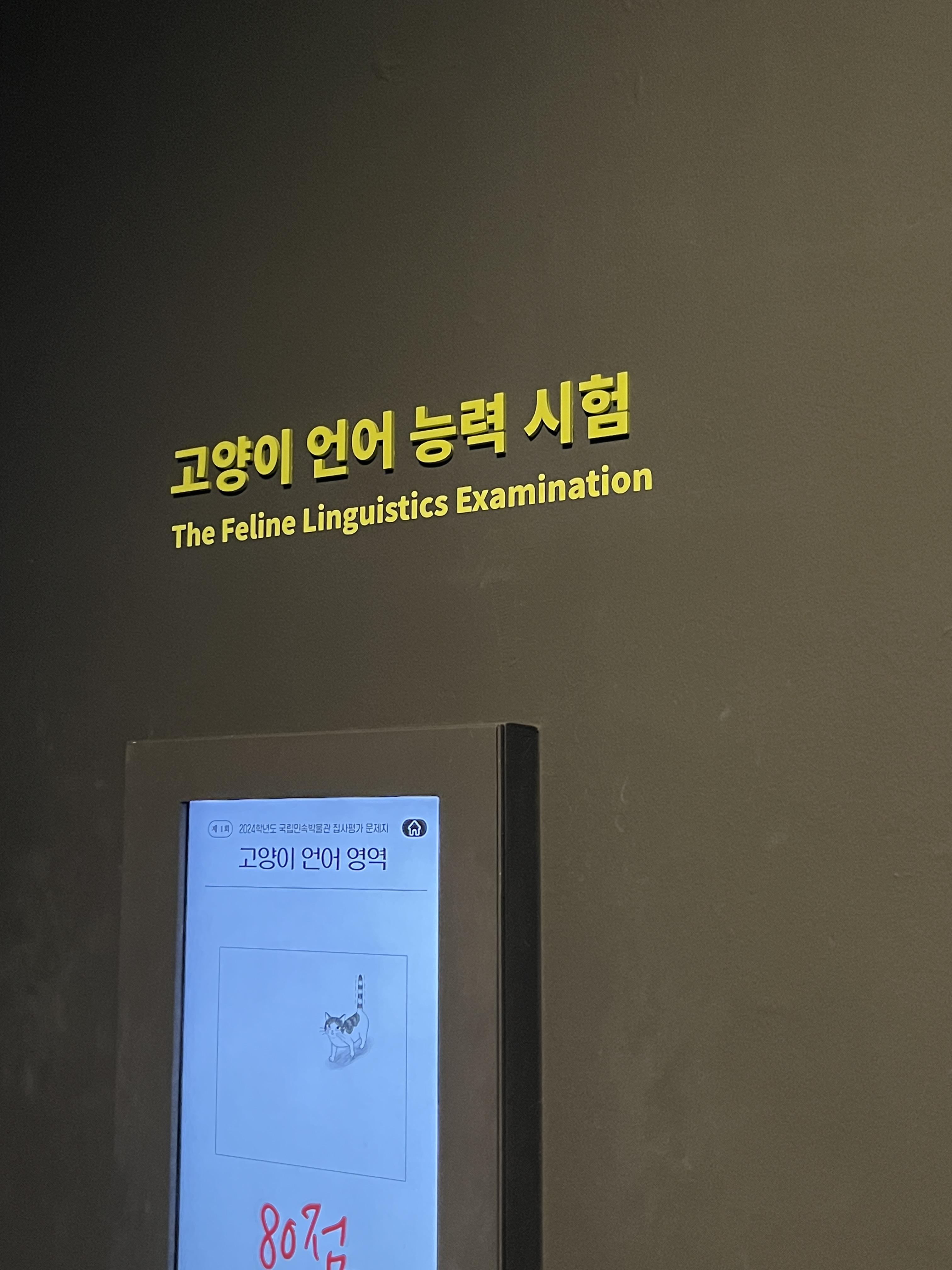 요물 우리를 홀린 고양이