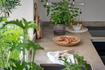 작은 원룸 식물배치 저조도선택 물주기 공간절약 아이디어_11