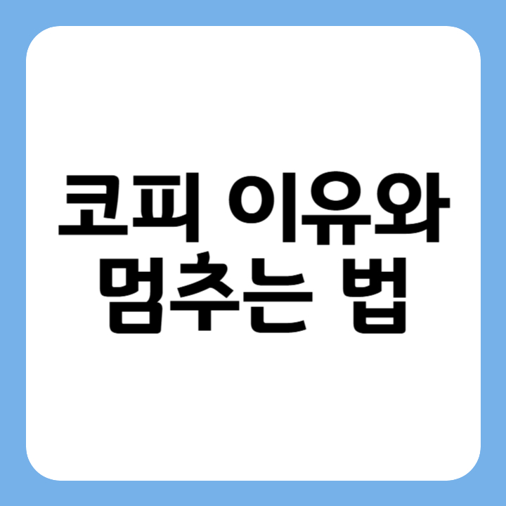 썸네일 : 코피 이유와 멈추는 법