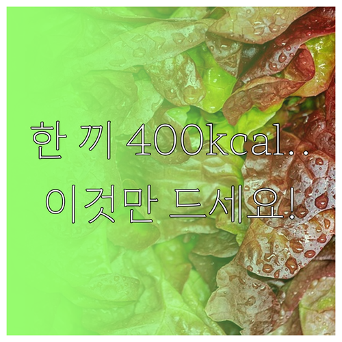 한 끼 400칼로리 다이어트 식단 종..