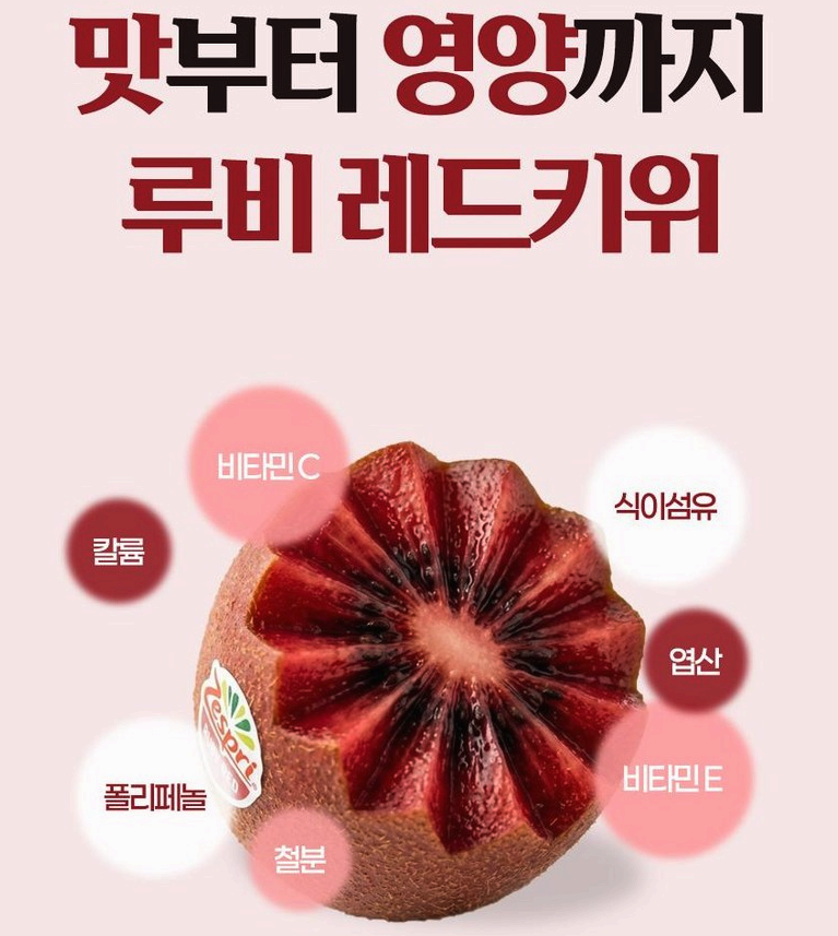 영양가득_레드키위_과일선물
