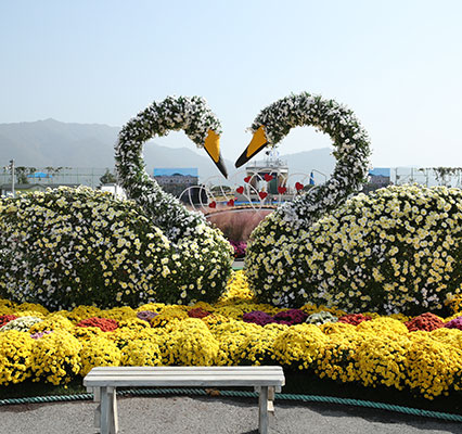 2024 강진만 춤추는 갈대축제