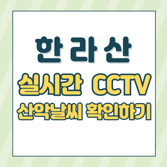 한라산cctv썸네일이미지