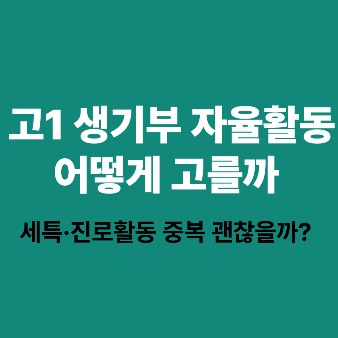 고1 생기부 자율활동 세특 진로활동 선택 전략 정리