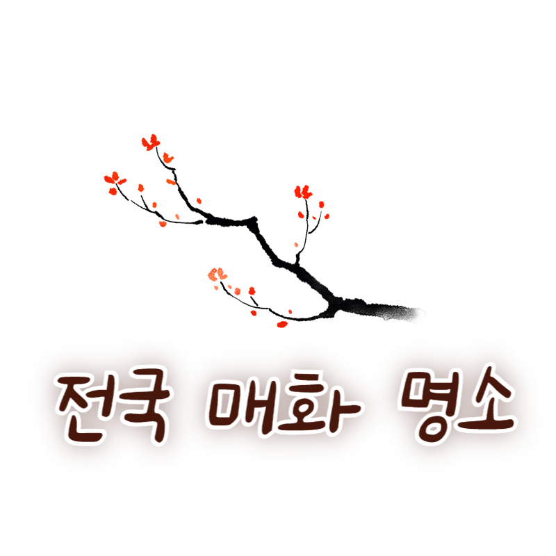 전국 매화 명소